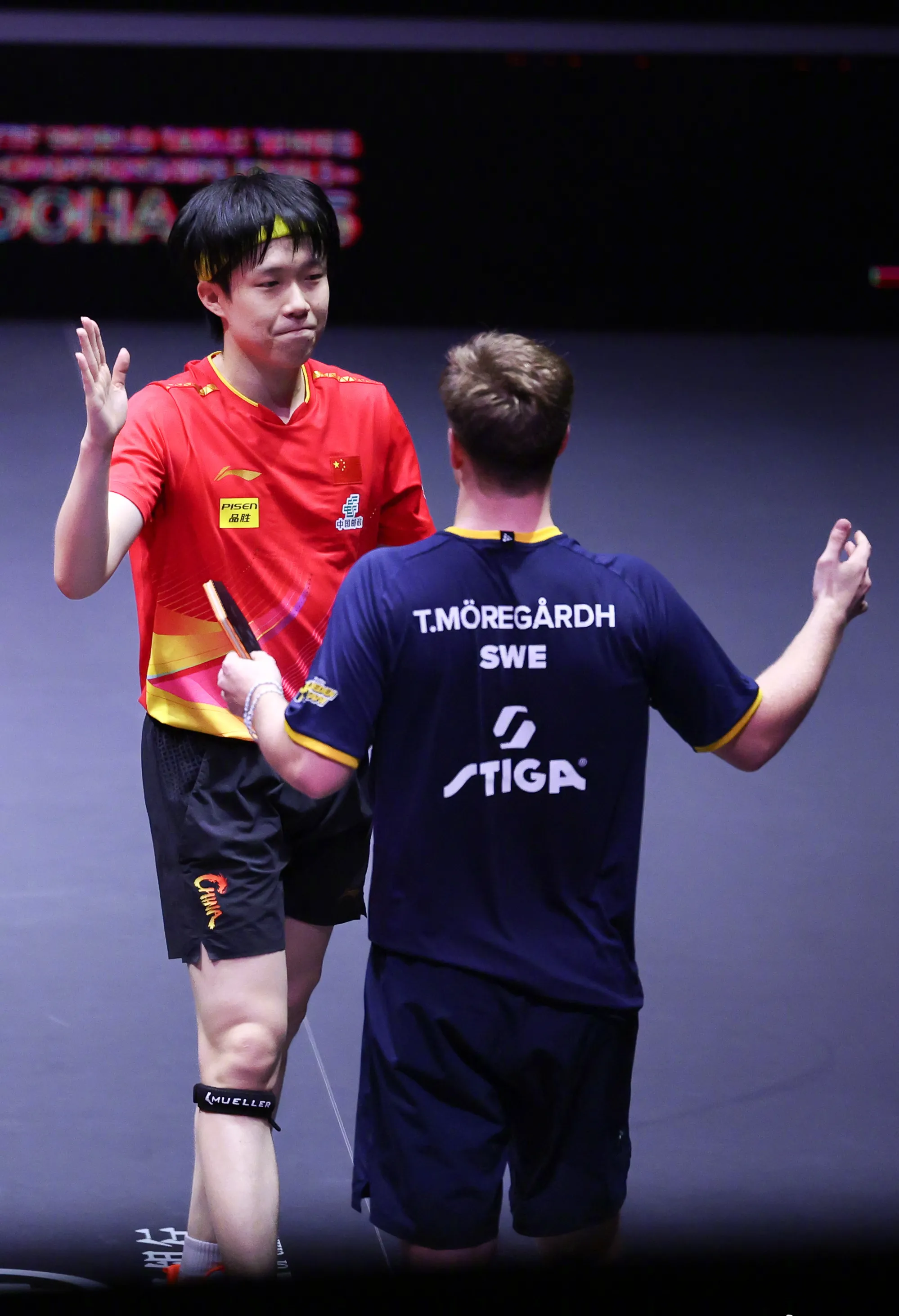 德国队绝杀中国队，林高远统治全场的简单介绍