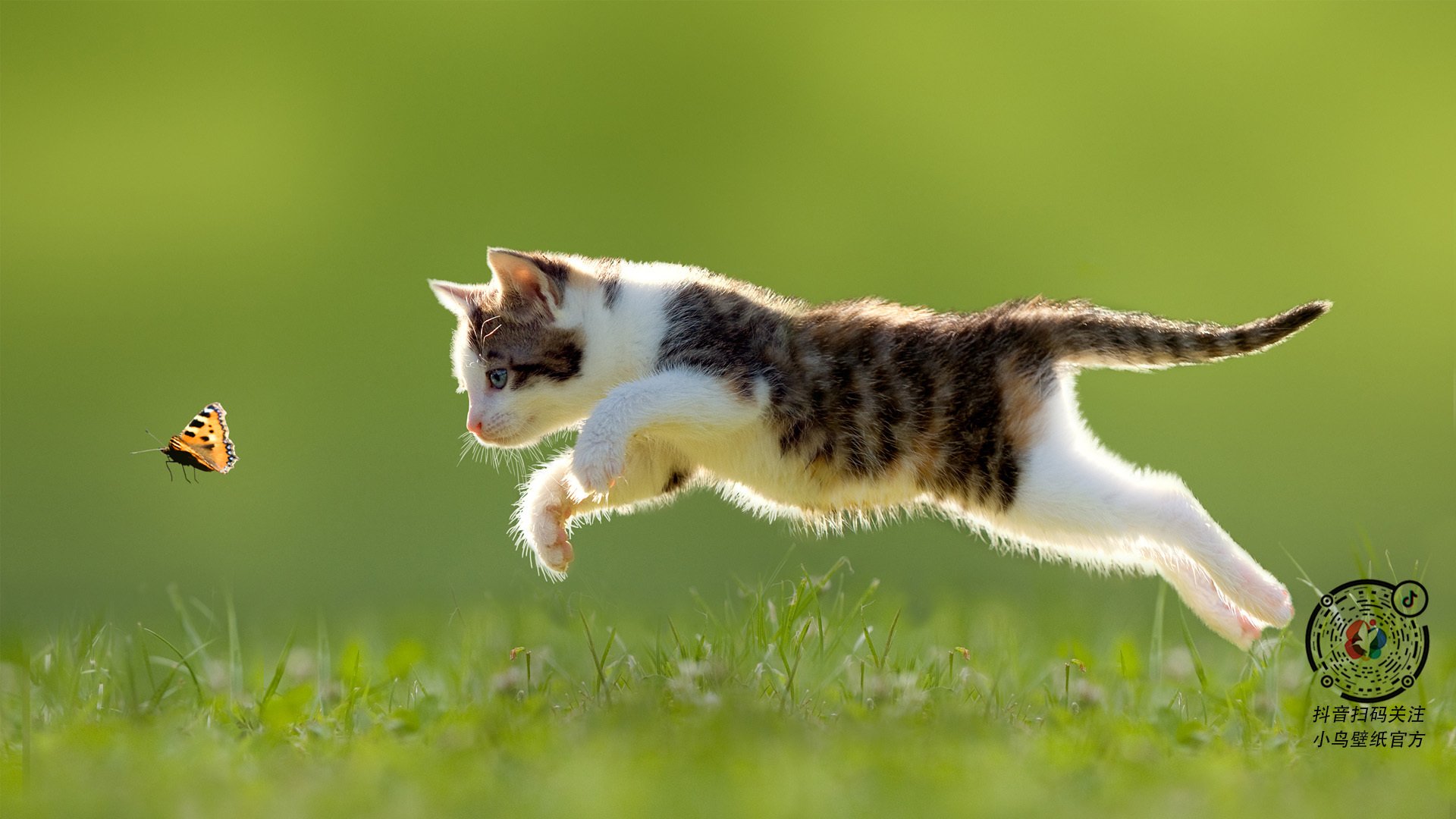 当金字塔遇见巴斯克，一场足球如何让里程碑超越数字