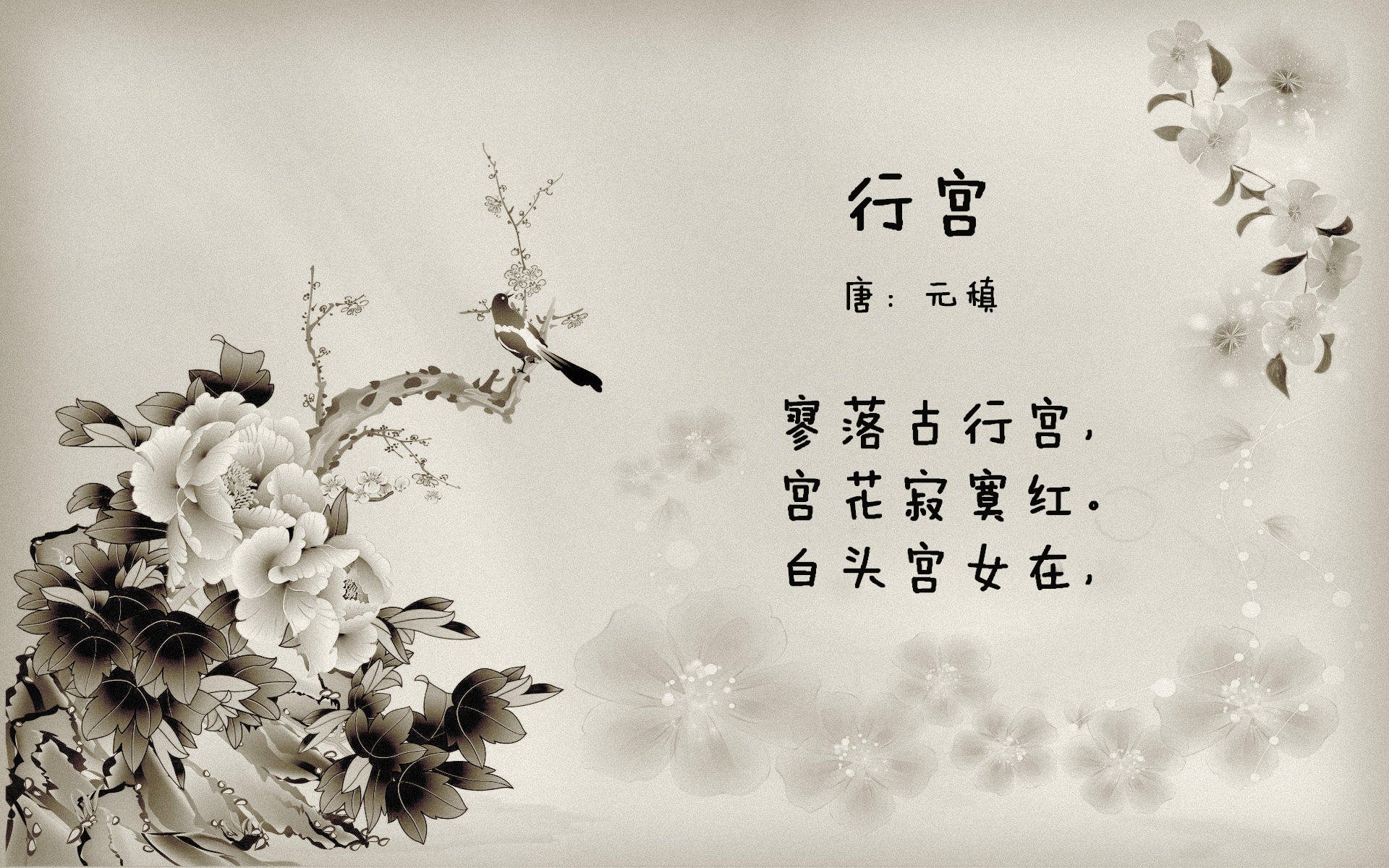 字母哥式的统治力，魔术生死战撕裂吉林，杀伤战术铸就晋级路