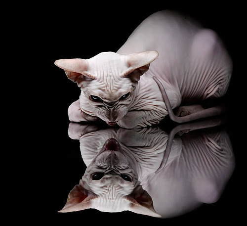 体育周末双响炮，NBA季后赛焦点战火星四溅，国际米兰友谊赛轻取哥斯达黎加