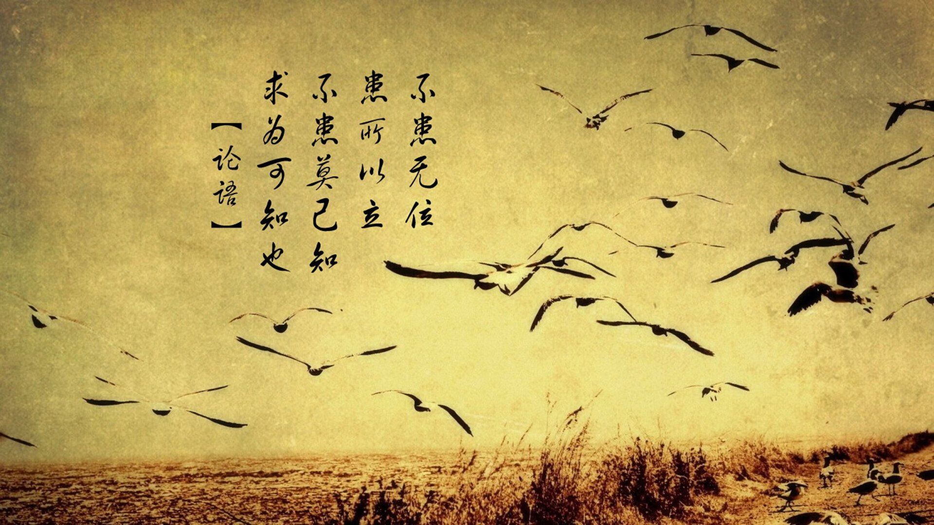 心魔退散,利刃出鞘,拉文关键战击碎掘金,书写生涯定义之夜