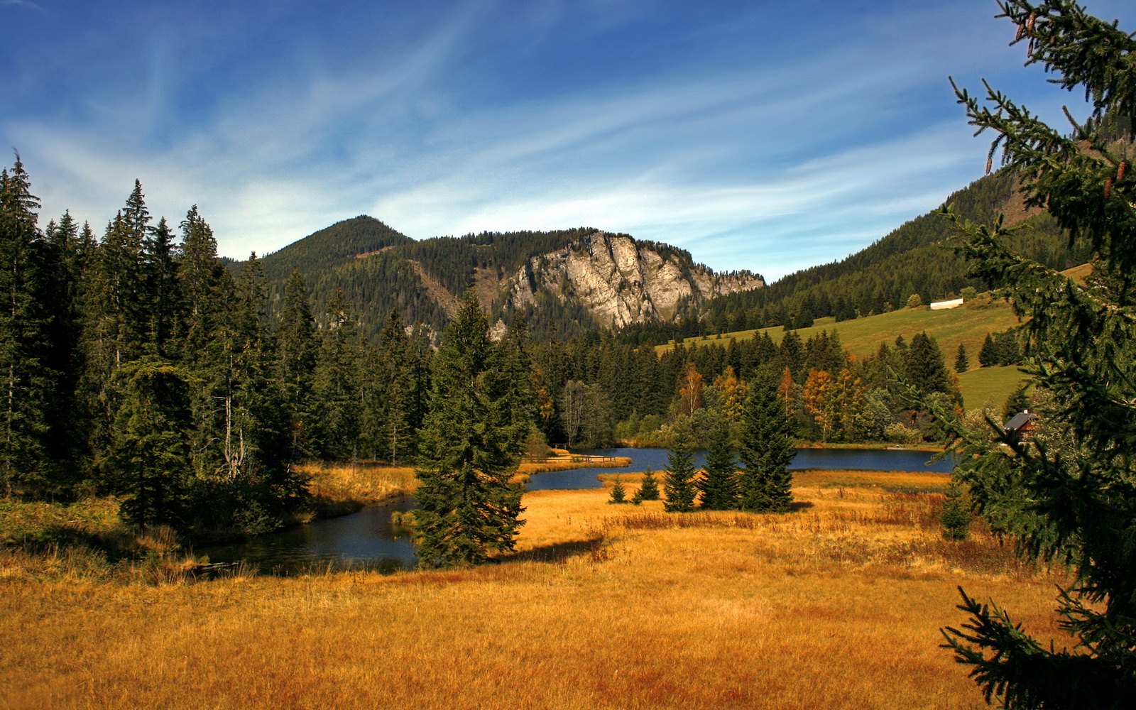 铁蹄踏过休斯顿，冰与火的对决中，福克斯加冕关键先生