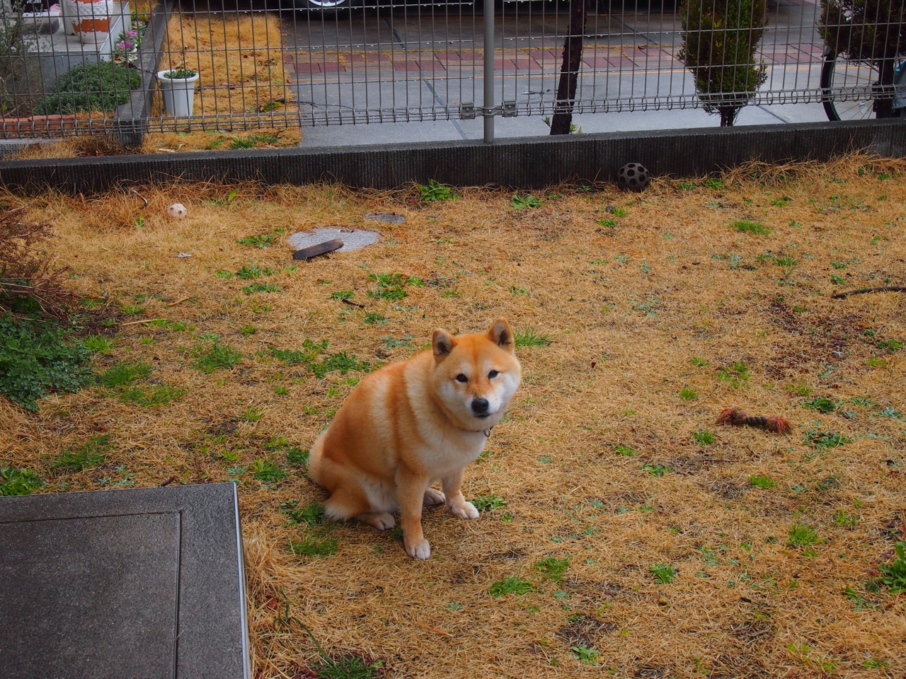 当蒸汽朋克机械钟遇上外科手术刀,德罗赞的旧时代技艺与湖人的精密切割