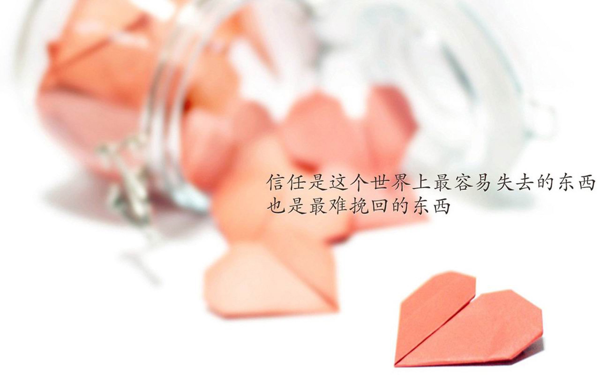 跨联赛验证，文班亚马稳定输出不掉线，快船完胜揭示体系鸿沟