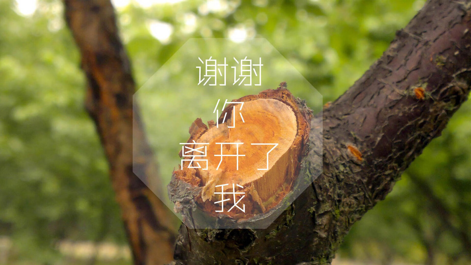 魔笛新章，当布罗佐维奇的血脉为复仇燃烧，韩国在绝杀中见证旧日主宰