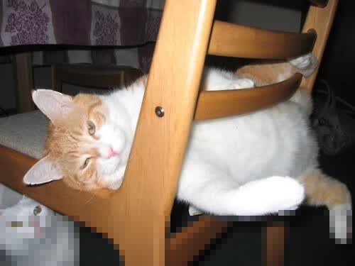 黑色猎豹的雷霆暴击,高卢战神的绝唱挽歌,2026世界杯,尼日利亚如何碾压秘鲁,吉鲁完成致命一击