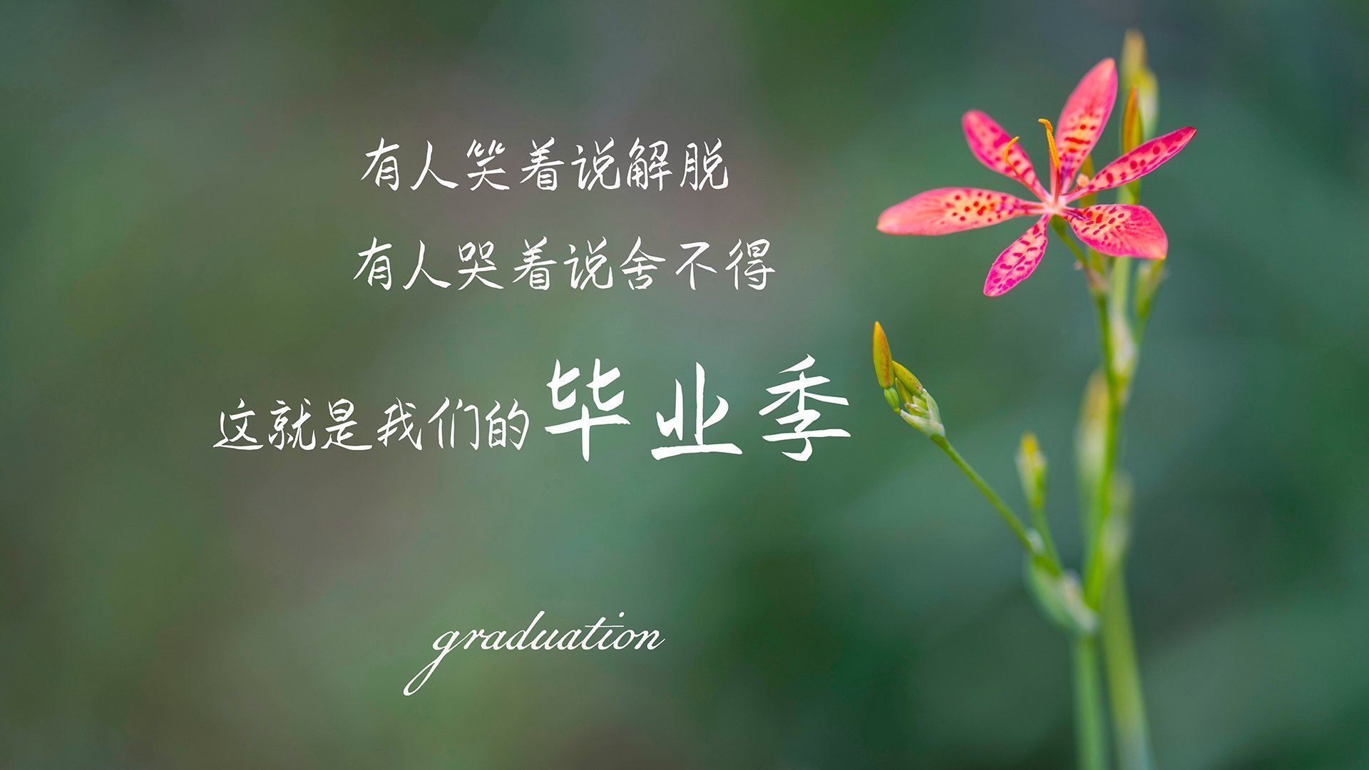 冰与火唯一的握手，2026世界杯决赛，当凯恩的战术魂寄居在哥斯达黎加的血脉里